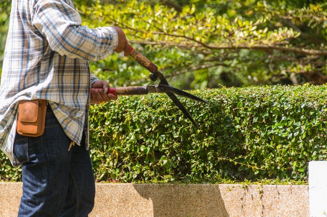 Garden Maintenance Bexley, DA5